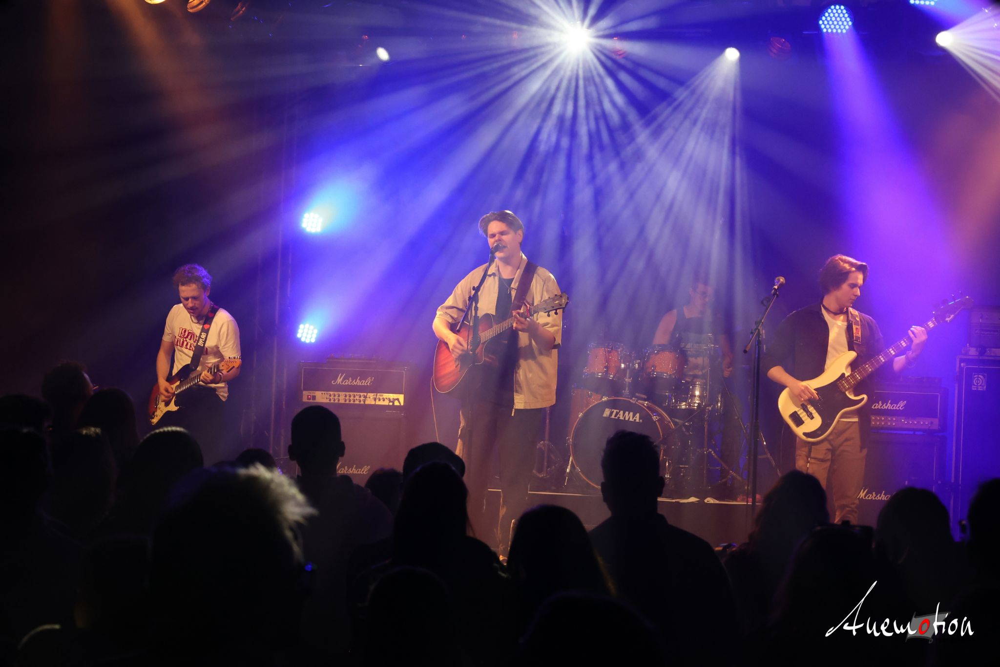 ElephantsFalling (36)